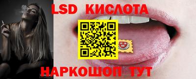сатива Кандалакша
