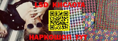 гидра Камышлов