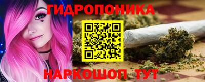 сатива Кандалакша