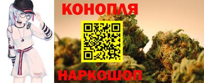 сатива Кандалакша